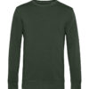 forest-green